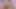 Amazing Creampie and sucking dildo jucielussie