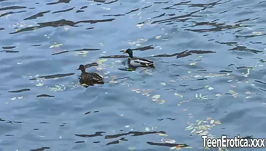 Şehvetli genç çift sikişiyor