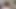 Dev yüz cumshot için utangaç Çek tatlı