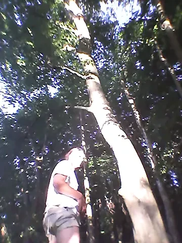 şortlu