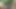Kıllı kedi seks tavşan becerdin ve iğne yapmak üzerinde
