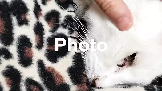 Onyxangel22 video 322171