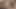 21 sextury - 3 tatlı kızla mükemmel lezbiyenler birbirlerinin amlarını yalayıp sikmeye hazır üçlü seks