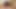 şehvetli babes ile büyük memeleri var üçlü ile bir damızlık