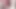 www