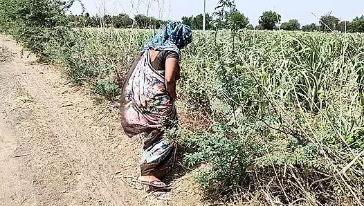 Komal was weeping in the sugarcane field, the owner secretly came and caught and fucked the house.