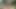 Voyeur Komşu Bahçe Havuzunda Sevişmemizi Izliyor- Yasmina Khan - Brady Bud