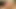 Renee olduğunu bir çift doldurulmuş sürtük