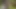 Longpussy. P.O.V. Beni bahçede takip ediyor.