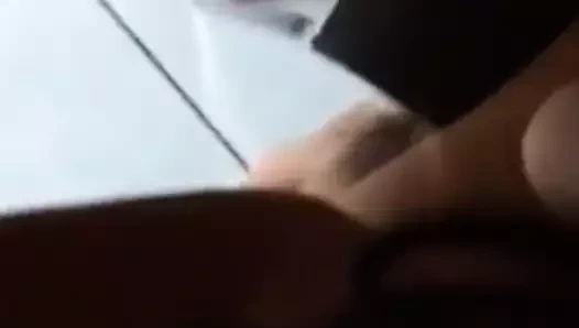 Pompini delizioso mattutino xx