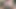 Xunami femboy ile büyük boşalma yakın çekim göt domaltmalı