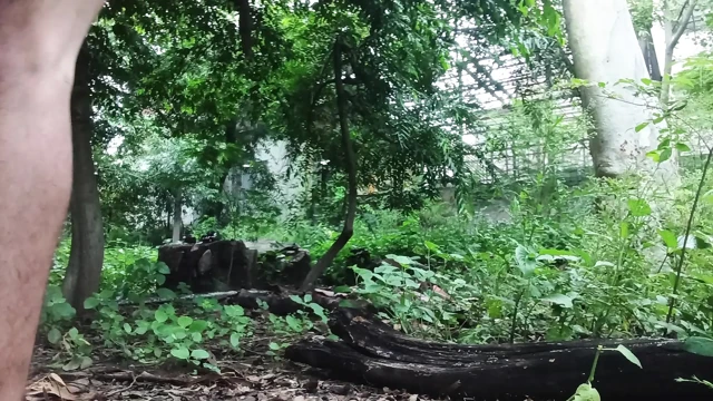 Güvenlik görevlisi beni parkta boşalırken yakaladı