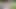 Multiple Orgasmen auf dem bayerischen Land - Episode 3
