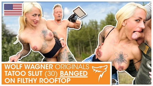 Harleenvan çimlerin üzerinde aletinin üzerinde sürüyor! wolfwagner.com