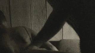 Katlanmış ve becerdin