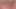 Gece Ormanında Vulva