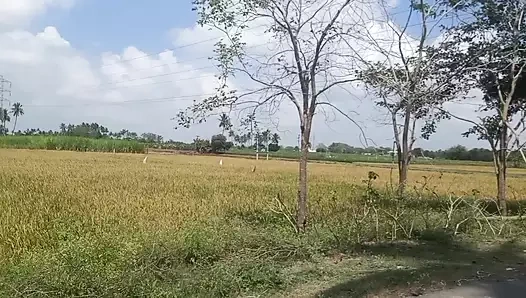 Tamil ev hanımı köy evinde büyük göğüslerini gösteriyor