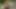 İki muhteşem kız havuz başında dildo paylaşıyor