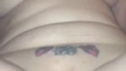 kahrolası beyaz kedi