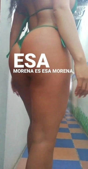 elvira palomino 1edf
