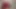 KOMŞUMUN KIÇIMA BOŞALMASINA IZIN VERDIM! Anal seksi seviyorum! Noel Özel - Abella Olsen