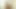 Blank
