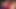 Orta yaşlı seksi kadın eğiliyor, tombul vajinasını uzun ve şişman schlong ile sevgilisine teşhir ediyor