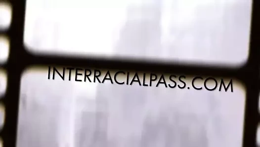 Katie iki siyah yarak tarafından yok edilen beyaz kedi alır