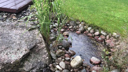Lucia önümde kalın amcık suyuyla boşalıyor