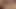 Allie Ray kıllı amcığını ham bir yarağa aldırmıyor. allie ray, seth dickens - sapık orta yaşlı seksi kadınlar ve gençler