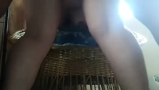 Küçük evcil hayvan sikilmek için dört ayak üstüne çıkıyor
