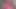 Azgın İngiliz sürtük edepsizce konuşuyor asmr 31 talimatı