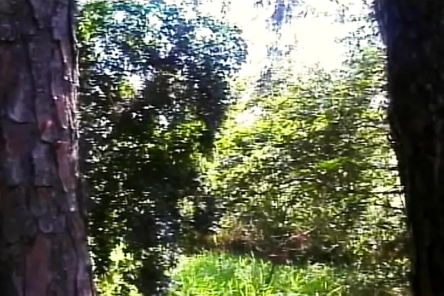 Irklararası direk sigara içme geçit töreni - her renk şehvet