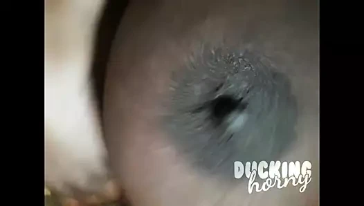 Duckinghorny 2021 clip compilation