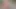 Halka açık parkta riskli mastürbasyon