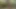 Yeni önlük eteğim
