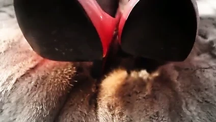 Mangez Erotique