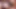 Pawg vantuz dildoya domalarak biniyor - büyük göt zıplatıyor