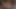 Amatör çift oral seks - videolar derlemeler 01