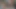 Tombul zenci kız erkek arkadaşını beyaz adamlarla aldatmayı seviyor