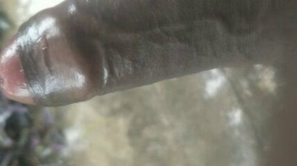siyah horoz pissing