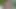 2.MP4