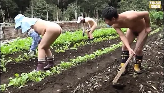 Özgür ruhlu olgun kadınların açık havada yetişkin özgürlüklerini kucakladığı kırsal kaçış -sahne.3