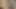 Nayuta hizmetçi 3d animasyon - büyük memeli meme uçları inliyor, g noktası parmaklıyor, göt yalama fışkırtıyor