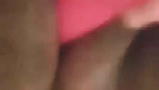 Kedi kahrolası ile oyuncak