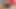 3 Orospu İçin Bir Penis: Albina, Büyük Poposlu Esmer ve Oral Seks Her Şeyi Emiyor