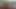 big ass stepdaughter is fuck while my wife is away. I cum in her mouth.  Latina