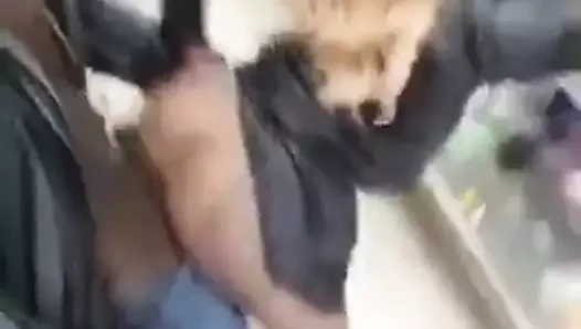 amatör siyah çift kahrolası içinde kamu