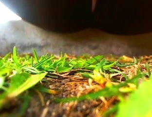 Kamu 15 (dış mekan)