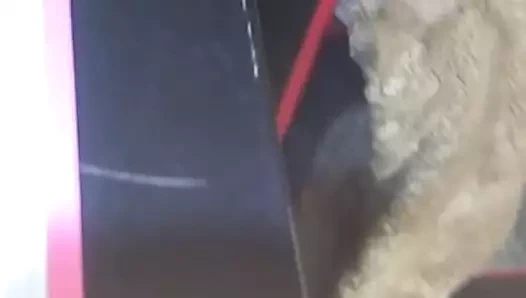 GODDESS BIBLELADY GIANTESS